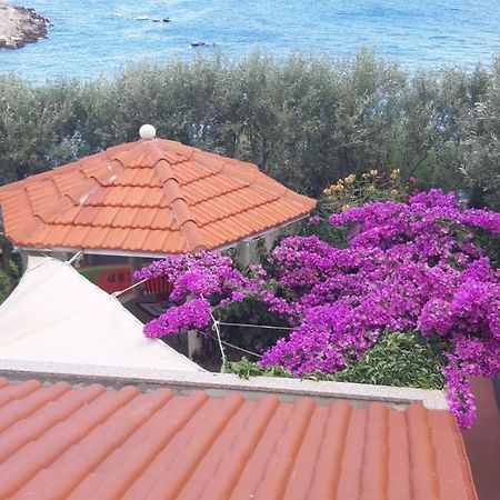 Apartments Luka Sevid Εξωτερικό φωτογραφία